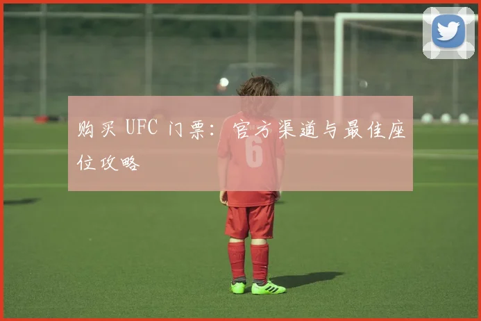 购买 UFC 门票：官方渠道与最佳座位攻略